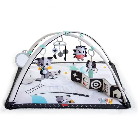 Tiny Love Gymini Black n White